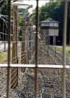 Buchenwald fence