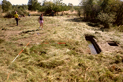 holes and openings are visible all over the area