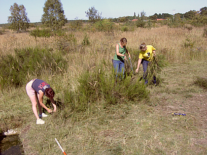 Tara, B&auml;rbel and Malin getting rid of the last bushes