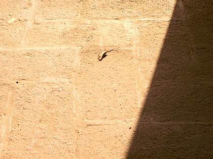 light and shadow in the bus stop